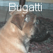 Bugatti d'Eroudur
